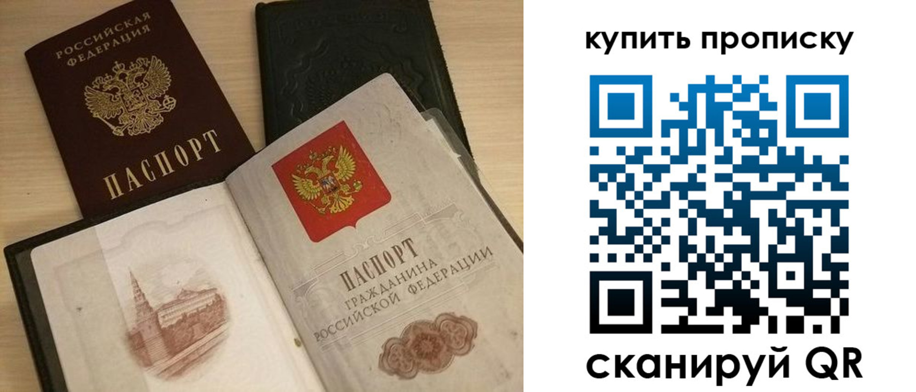 прописка гарантия в Павловске